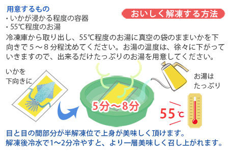 呼子のいか活造り2杯! コリコリ甘い鮮度抜群の透明感! 約250g×2(合計約500g) 刺身 ギフト 冷凍