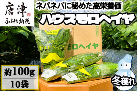 『先行予約』【12月上旬より順次発送】冬穫れハウスモロヘイヤ 100g×10袋 ネバネバ 高栄養価（βカロテン/各種ビタミン/カルシウム/カリウム/葉酸など) 定番おひたし 和洋中の各種スープ 色んなお料理のソースにも 野菜 ねばねば