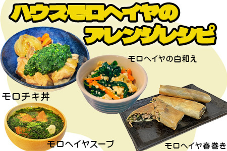 『先行予約』【12月上旬より順次発送】冬穫れハウスモロヘイヤ 100g×10袋 ネバネバ 高栄養価（βカロテン/各種ビタミン/カルシウム/カリウム/葉酸など) 定番おひたし 和洋中の各種スープ 色んなお料理のソースにも 野菜 ねばねば