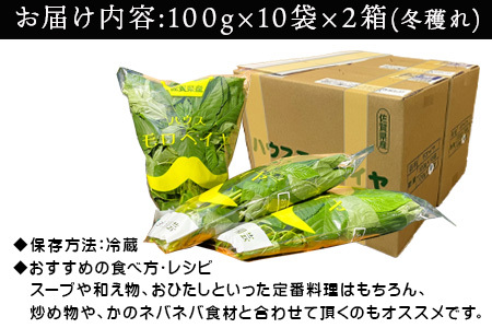『先行予約』【12月上旬より順次発送】冬穫れハウスモロヘイヤ 100g×10袋×2箱 ネバネバ 高栄養価（βカロテン/各種ビタミン/カルシウム/カリウム/葉酸など) 定番おひたし 和洋中の各種スープ 色んなお料理のソースにも 野菜 ねばねば