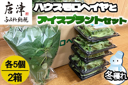 『先行予約』【12月上旬より順次発送】冬穫れハウスモロヘイヤ(100g×5袋)とアイスプラント(70g×5P)セット 2箱 ネバネバ 高栄養価 プチプチ新体験 定番おひたし 和洋中の各種スープ お肉・お魚のメイン料理の付け合わせ