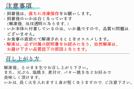 鮮度抜群 呼子 いかのさしみ 80g×3袋 イカ 烏賊 刺身 簡単 夕食 解凍するだけ