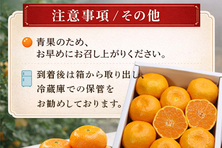 『先行予約』【令和8年3月上旬より順次発送】◎にじゅうまる◎ 5kg 佐賀県産【高級柑橘みかん】果物フルーツ 柑橘