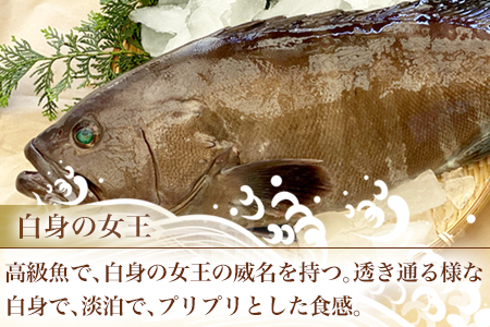 白身の高級魚マハタ鍋 4人前セット (マハタ300g×2・ポン酢400ml