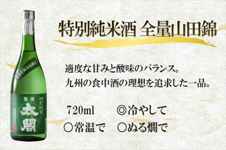 唐津地酒太閤 芳醇な辛口の特別純米酒と口当たり柔らかな梅酒 720ml各1本(計2本) 日本酒・梅酒芳醇セットA-4