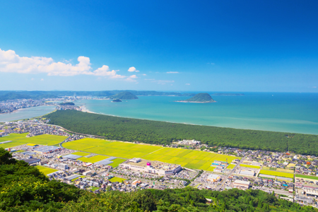 『先行予約』【令和6年産】佐賀県唐津市産さがびより 5kg 米の食味ランキング最高ランクの特A評価 冷めても美味しいのでお弁当やおにぎりに最適なお米