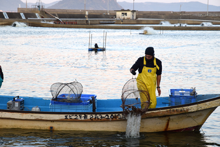 唐津特産活プロトン冷凍車海老と車えび醤(じゃん)のセット(250g×2P 醤90g) 刺身 フライ 煮付 ギフト