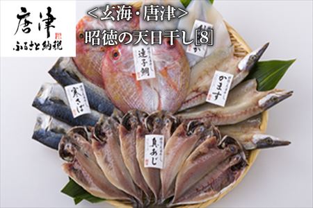 昭徳の天日干し 1枚60g~90g 全16枚(真あじ開き60g×6枚 真さば片身90g×3枚 かます開き80g×3枚 連子鯛開き180g×2枚 剣先いか開き70g×2枚) おかず ギフト