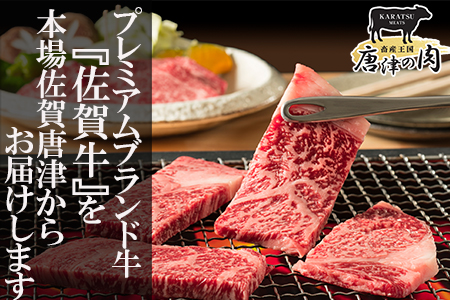 佐賀牛の女王希少部位『ヒレ』肉のミニヒレステーキ600g BBQや焼肉に最適！A5～A4等級 ギフト 牛肉 国産