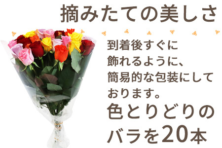 家庭用バラの花束 ミックス本 40cm程度のものを厳選 佐賀県唐津市 ふるさと納税サイト ふるなび