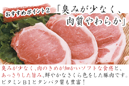 肥前さくらポーク小間切れ 200g×5パック(合計1kg) 豚肉 炒め物 冷凍 (鮮度へのこだわり工夫あり！)