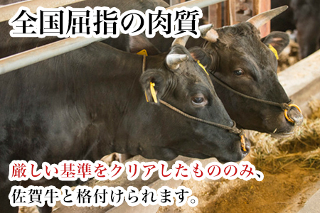 佐賀牛ロースステーキ 200g×2枚(400g) 牛肉 ステーキ 焼肉 BBQ