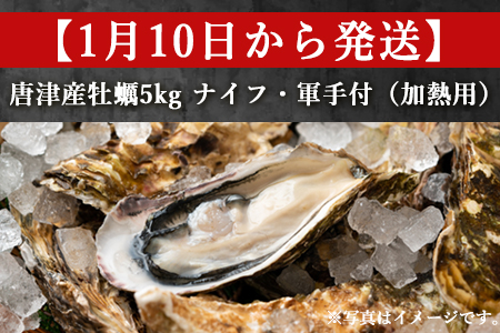 『先行予約』【令和7年1月10日から発送】いろは島の料理長が厳選！唐津産 牡蠣5kg ナイフ 軍手付 (加熱用)殻付き かき カキ 殻付き牡蠣 養殖 まがき 貝 海鮮 シーフード