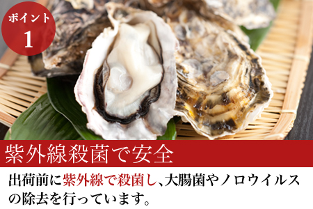 『先行予約』【令和7年1月10日から発送】いろは島の料理長が厳選！唐津産 牡蠣5kg ナイフ 軍手付 (加熱用)殻付き かき カキ 殻付き牡蠣 養殖 まがき 貝 海鮮 シーフード