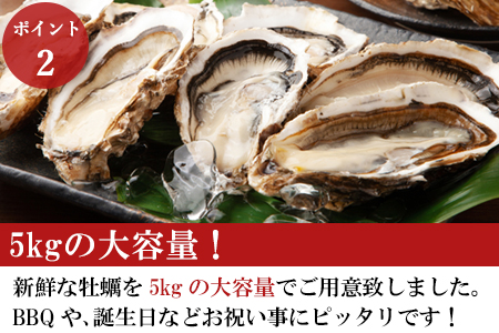 『先行予約』【令和7年1月10日から発送】いろは島の料理長が厳選！唐津産 牡蠣5kg ナイフ 軍手付 (加熱用)殻付き かき カキ 殻付き牡蠣 養殖 まがき 貝 海鮮 シーフード