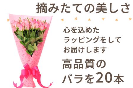 バラの花束 ピンク色 20本 長さ約40cm厳選 産地直送 摘み立て プレゼント用 最高品質 栄養剤付
