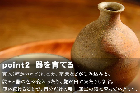 唐津焼 絵唐津蛤中皿 中野政之作