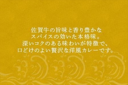 【ふるなび限定】佐賀牛 極美カレー ビーフカレー レトルト 牛肉 加工食品 惣菜 FN-Limited-SP