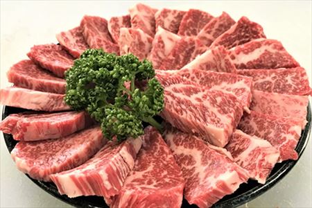 創業75年老舗の佐賀牛焼き肉600ｇ
