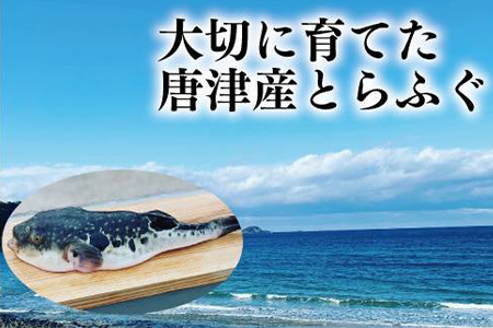 唐津産 とらふぐスパイシー唐揚げ250g×3袋(合計750ｇ )