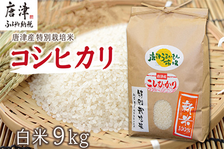 唐津産特別栽培米 コシヒカリ(白米) 4.5㎏×2袋(合計9kg) ご飯 コメ お米