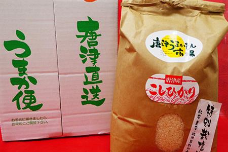 唐津産特別栽培米 コシヒカリ(白米) 4.5㎏×2袋(合計9kg) ご飯 コメ お米