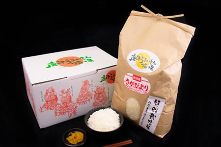 『先行予約』【令和6年産】唐津産特別栽培米 さがびより(白米) 4.5kg 白米 ご飯 こめ お米 おにぎり