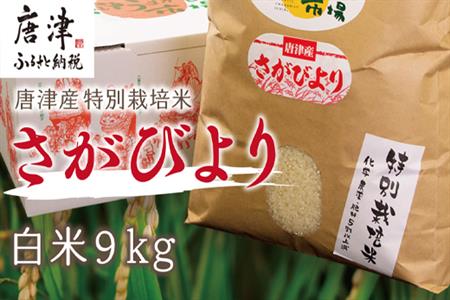 『先行予約』【令和6年産】唐津産特別栽培米 さがびより(白米) 9kg コメ お米 ごはん 白米 ご飯 こめ お米 おにぎり