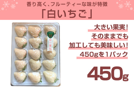 『先行予約』【令和7年2月上旬から4月下旬までにお届け】白い宝石 白いちご 450g 贈答用 いちご イチゴ 苺 フルーツ 果物 希少