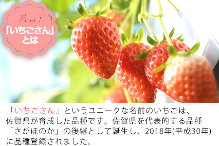 『先行予約』【令和7年3月上旬から4月下旬までにお届け】いちごさん 約220g×4パック (合計約880g) いちご 苺 イチゴ 果物 フルーツ 贈答