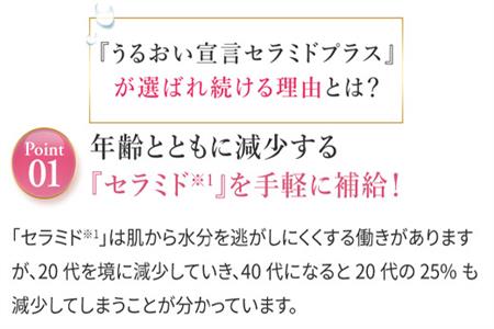 うるおい宣言セラミドプラスα アサイー味 1箱 30本入 約1ヶ月分