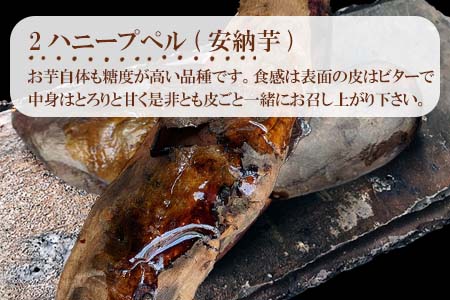 冷凍焼き芋 ハニープぺル(安納芋) 計1.2kg 桃山天下芋本舗 やきいも さつまいも おやつ