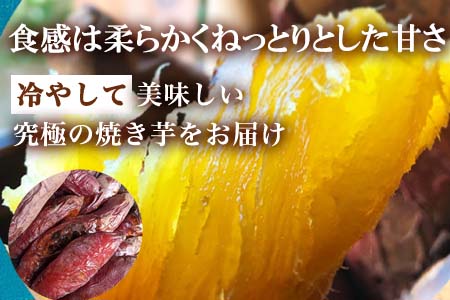 冷凍焼き芋 紅おとか (紅はるか系) 計1.2kg 桃山天下芋本舗 やきいも さつまいも おやつ