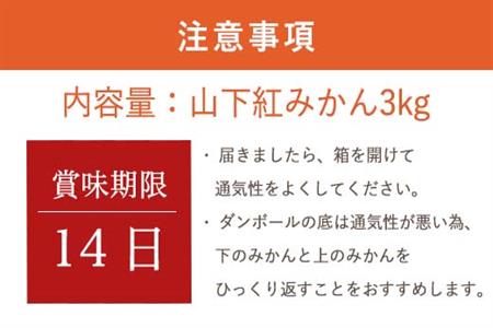 『先行予約』【令和8年11月発送】山下紅みかん(ハウス栽培) 唐津産 3kg ミカン 蜜柑 果物 フルーツ