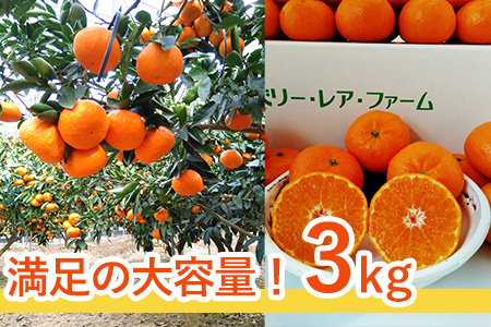 『先行予約』【令和8年1月下旬発送】浜王(はまおう) ハウス栽培 唐津産 3kg 口之津(くちのつ) 39号みかん フルーツ 果物 柑橘 かんきつ