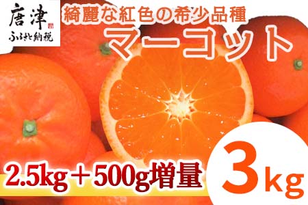 『予約受付』【令和7年2月中旬発送】マーコット(ハウス栽培) 唐津産 3kg みかん ミカン 果物 フルーツ