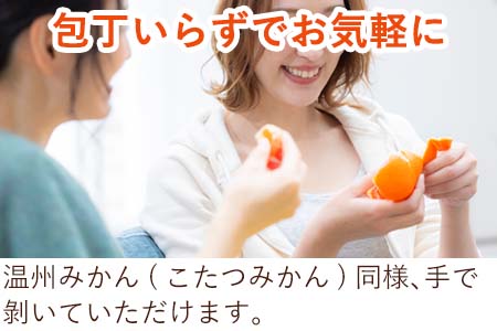 『予約受付』【令和7年2月中旬発送】マーコット(ハウス栽培) 唐津産 3kg みかん ミカン 果物 フルーツ