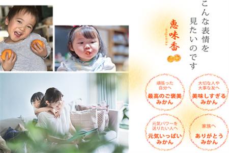 『先行予約』【令和8年2月上旬発送】果皮も丸ごとガブッ!味香みかん 3kg 新種のミカン フルーツ 果物 デザート 柑橘