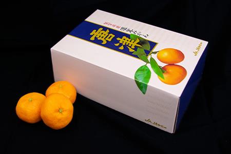 『先行予約』【6月下旬発送予定】唐津産 温室みかん 2.2kg 化粧箱 ハウスみかん ミカン 果物 フルーツ ギフト