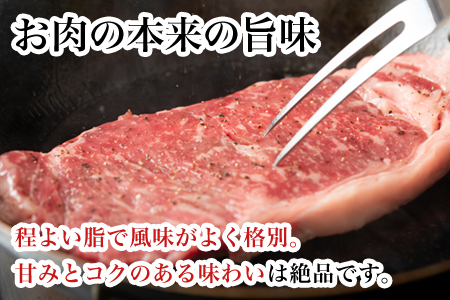 「全3回定期便」佐賀牛ロースステーキ 200g×2枚(合計400ｇ)を3回お届け！牛肉 ステーキ BBQ バーベキュー アウトドア 「2023年 令和5年」