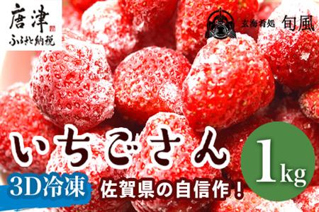 ラッピング無料 冷凍苺24kg(500g×48袋）佐賀県産 スムージー カキ氷