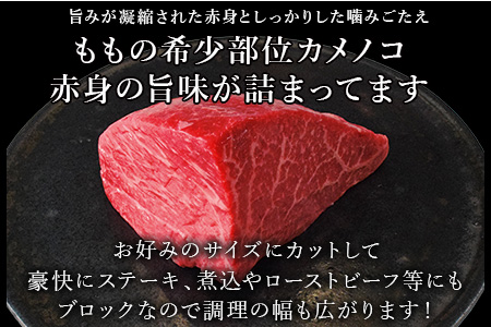 《プロシリーズ》佐賀牛赤身の極み"希少部位カメノコ”ブロック500g 牛肉 ステーキ ローストビーフ ギフト 黒毛和牛 すき焼き しゃぶしゃぶ 希少部位 焼肉 自宅 BBQ アウトドア