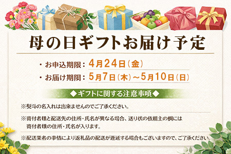 「母の日」唐津バーグ8個とガーリックソースのギフトセット 総菜 肉 ハンバーグ 贈答用