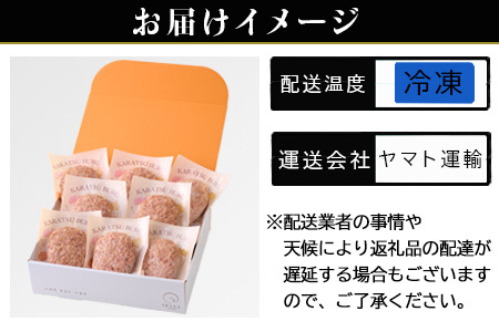 「母の日」唐津バーグ8個とガーリックソースのギフトセット 総菜 肉 ハンバーグ 贈答用