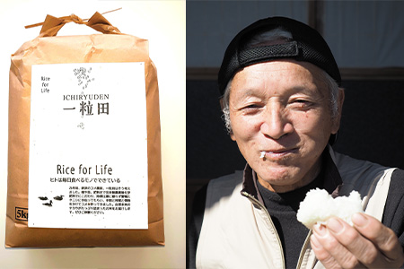 唐津産 あいがも米 5kg (玄米) 一粒田 合鴨農法 無農薬 無化学肥料 コメ お米 ごはん