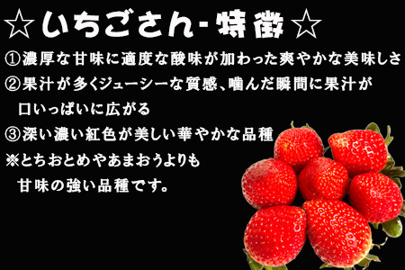 『先行予約』【令和7年3月より順次発送】唐津産 いちごさん 250g×2パック(合計500g) 濃厚いちご 苺 イチゴ 果物 フルーツ