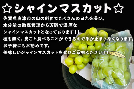 『先行予約』【令和8年9月上旬より順次発送】シャインマスカット2kg 3房~4房 葡萄 ぶどう 果物 フルーツ スイーツ