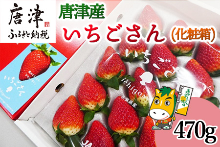 『予約受付』【12月中旬より順次発送】佐賀県唐津市「いちごさん」化粧箱 470g いちご 苺 イチゴ 化粧箱 ギフト