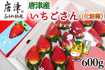 『先行予約』【1月中旬より順次発送】佐賀県唐津市「いちごさん」化粧箱 600g いちご 苺 イチゴ 化粧箱 ギフト