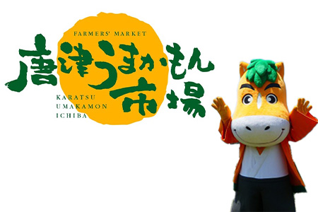 『先行予約』【1月中旬より順次発送】佐賀県唐津市「いちごさん」化粧箱 600g いちご 苺 イチゴ 化粧箱 ギフト